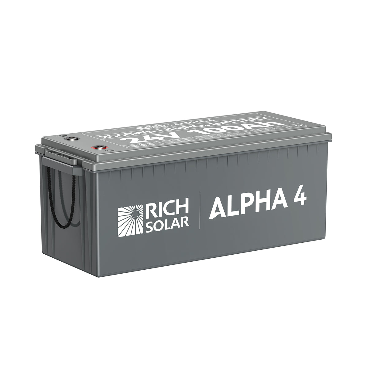 ALPHA 4 | 24V 100Ah LiFePO4 Battery | Powerful 24V Lithium Battery for RVs, Trailers, Vans, Boats, Off-Grid | 5,000 Lifetime Cycles | Bluetooth and Internal Heat Technology - RICH SOLAR