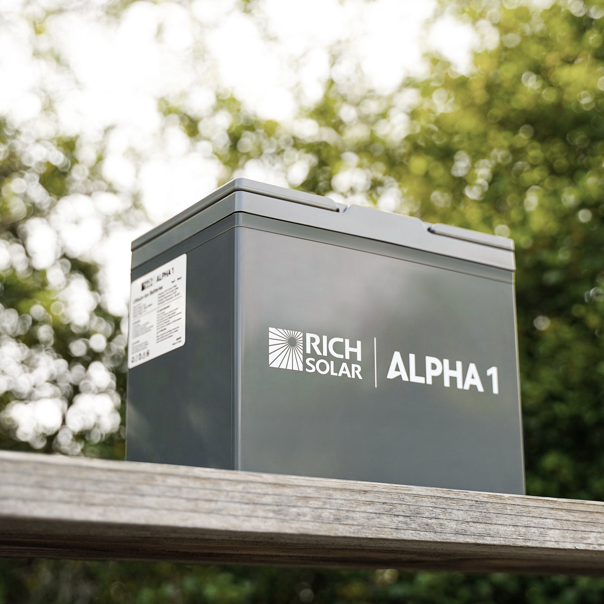 ALPHA 1 | 12V 100Ah LiFePO4 Lithium Iron Phosphate Battery w/ Internal Heat Technology and Bluetooth | BACKORDER SHIPPING DATE: APR 30, 2024 - RICH SOLAR