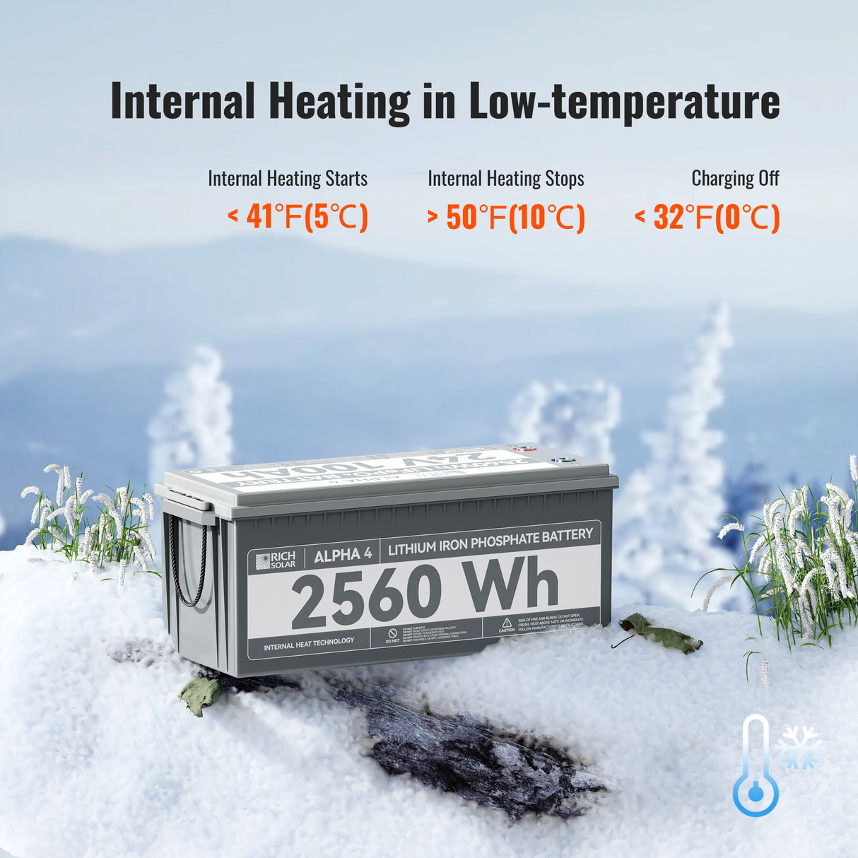 24V 100Ah LiFePO4 Lithium Iron Phosphate Battery w/ Internal Heating and Bluetooth Function (Pre-Order) - RICH SOLAR