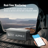 ALPHA 2 Real-Time Monitoring